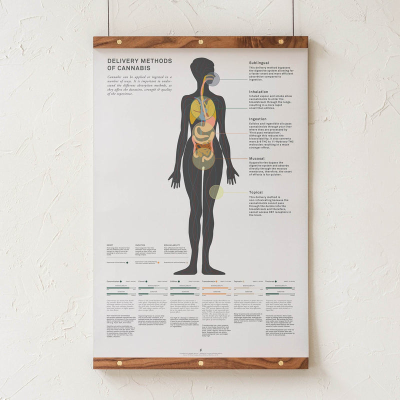 GoldLeaf Delivery Methods of Cannabis Chart Print Best Sales Price - Art Prints