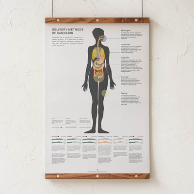 GoldLeaf Impresión Gráfico de Métodos Administración de Cannabis Best Sales Price - Art Prints