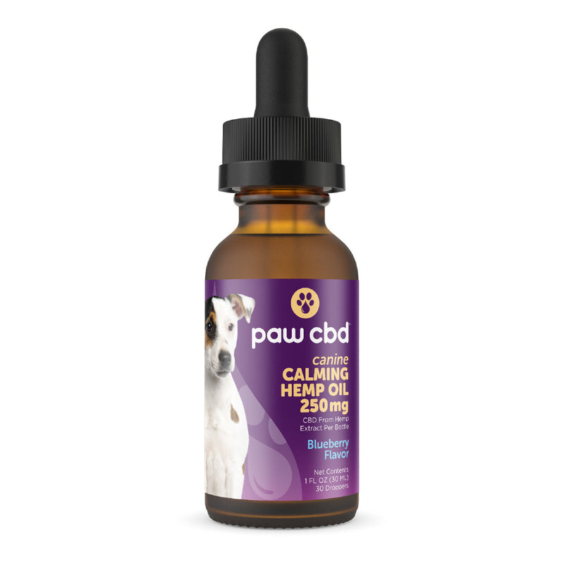 Paw CBD Broad Spectrum CBD Dog Calming Oil Tincture Best Sales Price - Tincture Oil