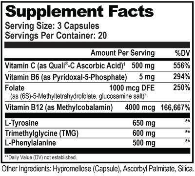 Focus & Memory Stack Best Sales Price - CBD