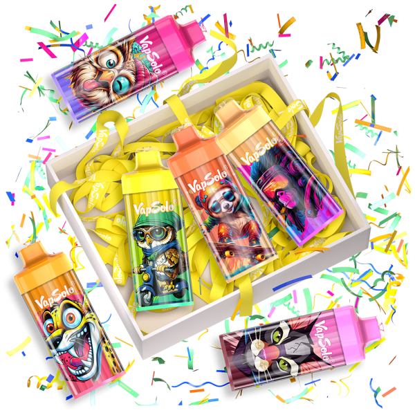 VapSolo Surprise Box Set