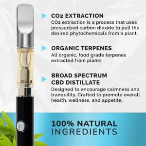 CBD Vape Cartridge: Pineapple Express
