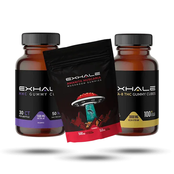 Bundle & Save: Beam Me Up