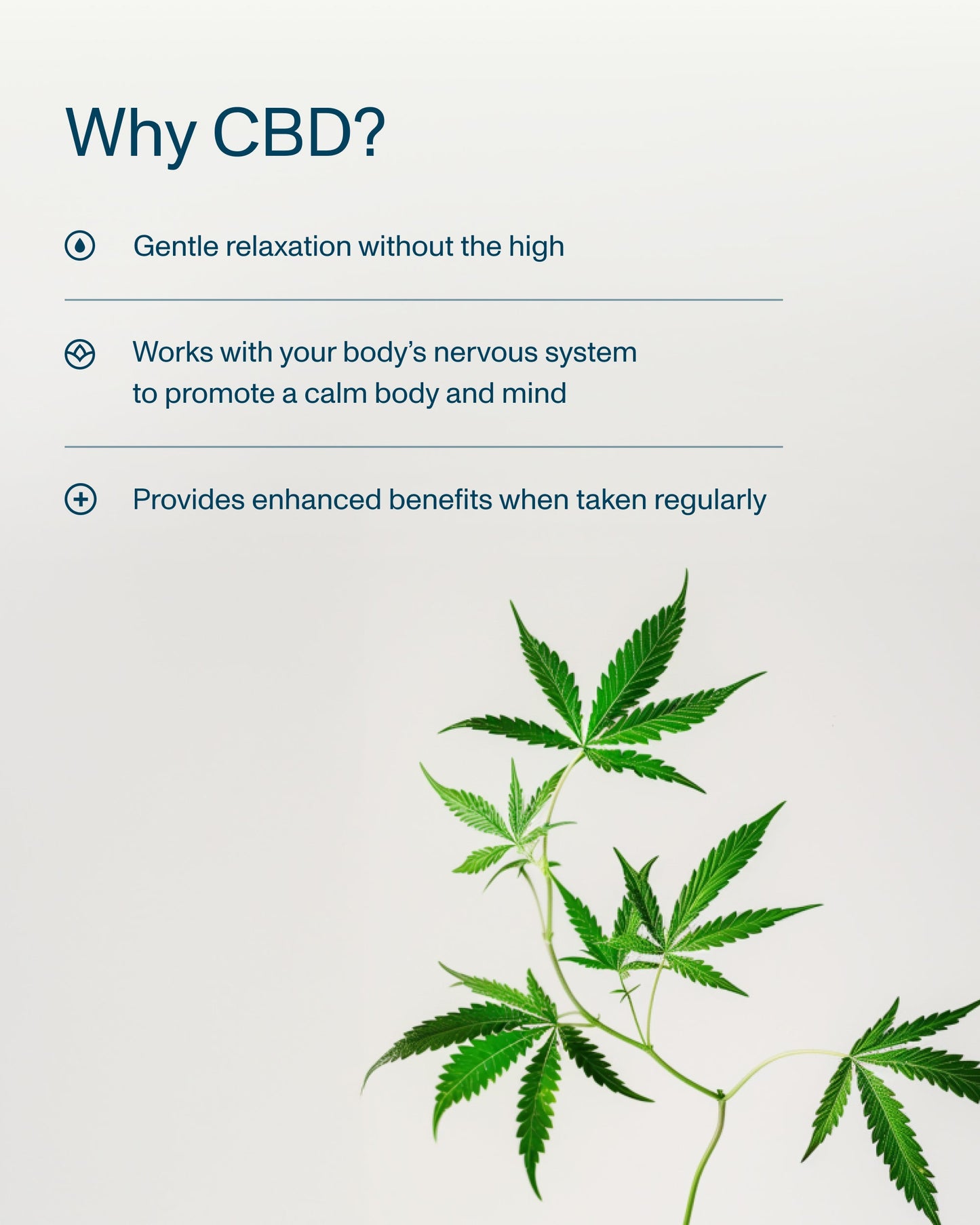 FOCL Daily Calm Broad Spectrum Gummies