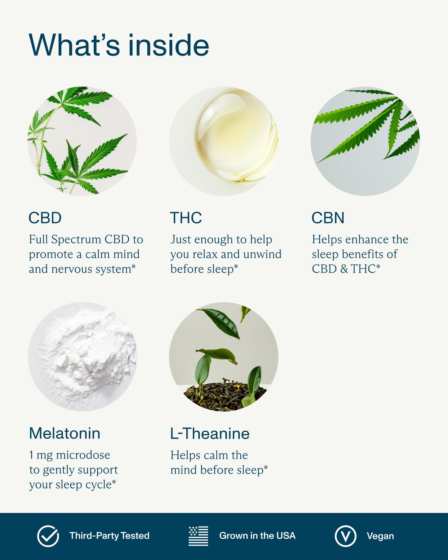 FOCL Deep Sleep Gummies