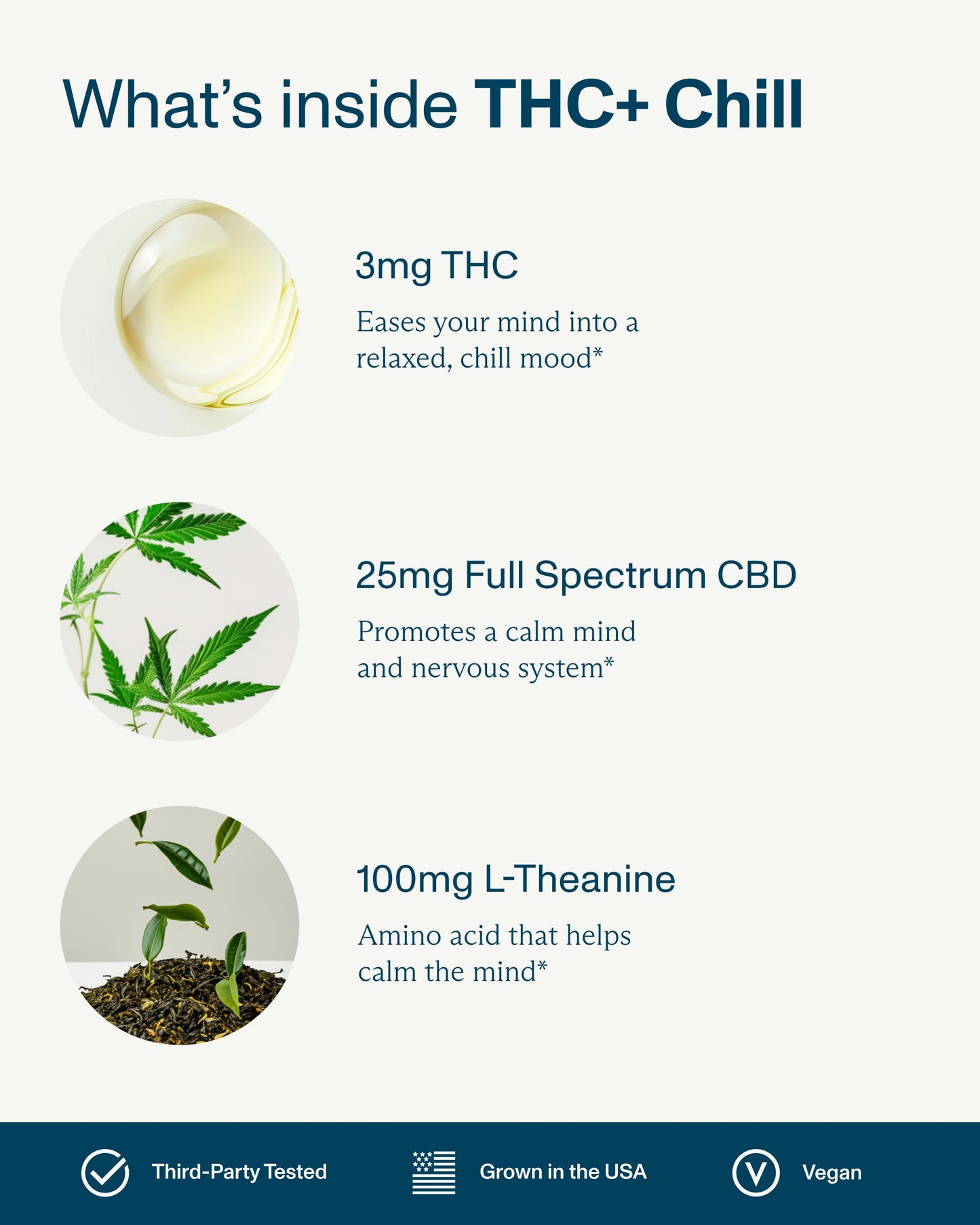 FOCL THC+ All-Day Variety Pack