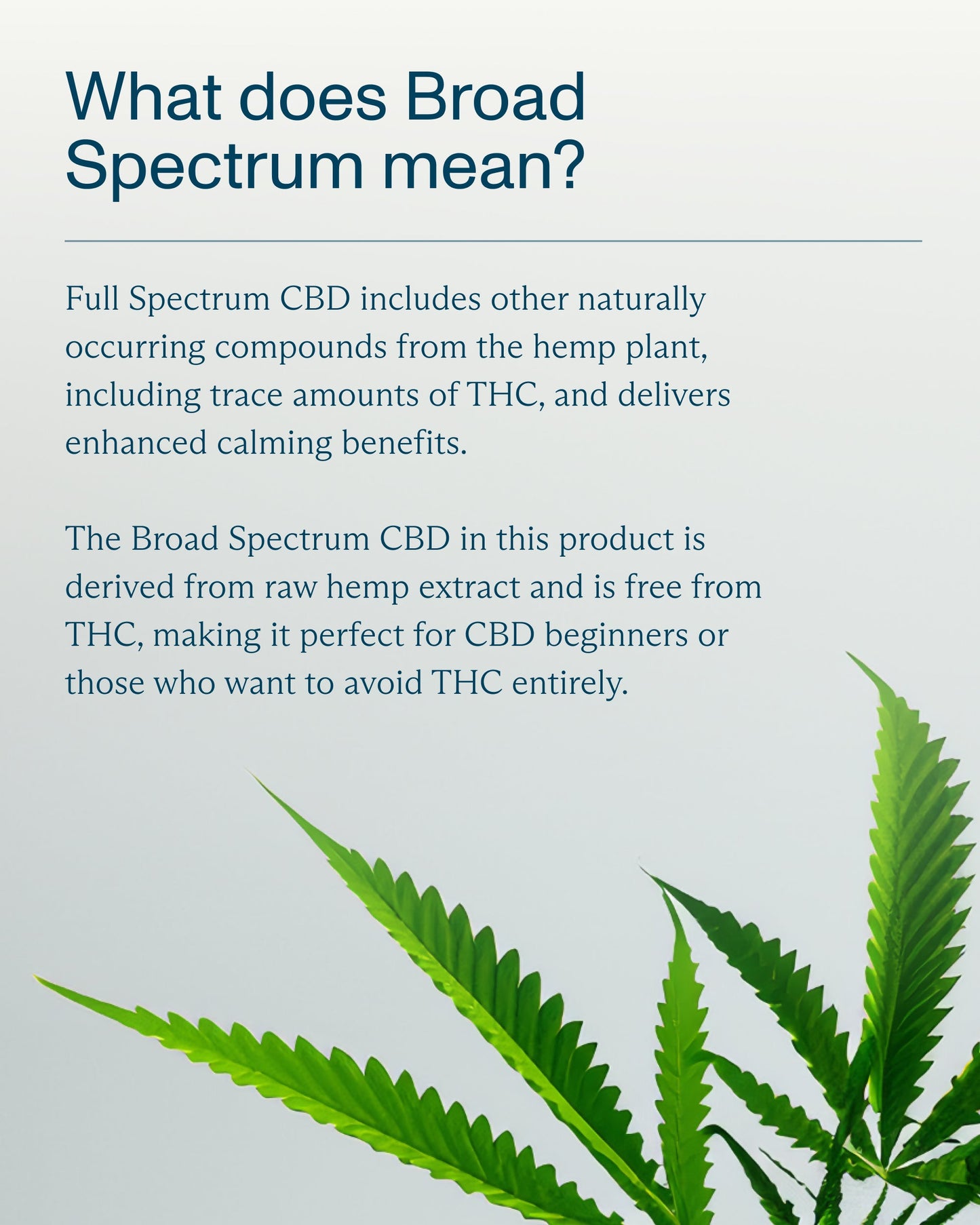 FOCL Good Night Broad Spectrum Sleep Gummies 3-Pack