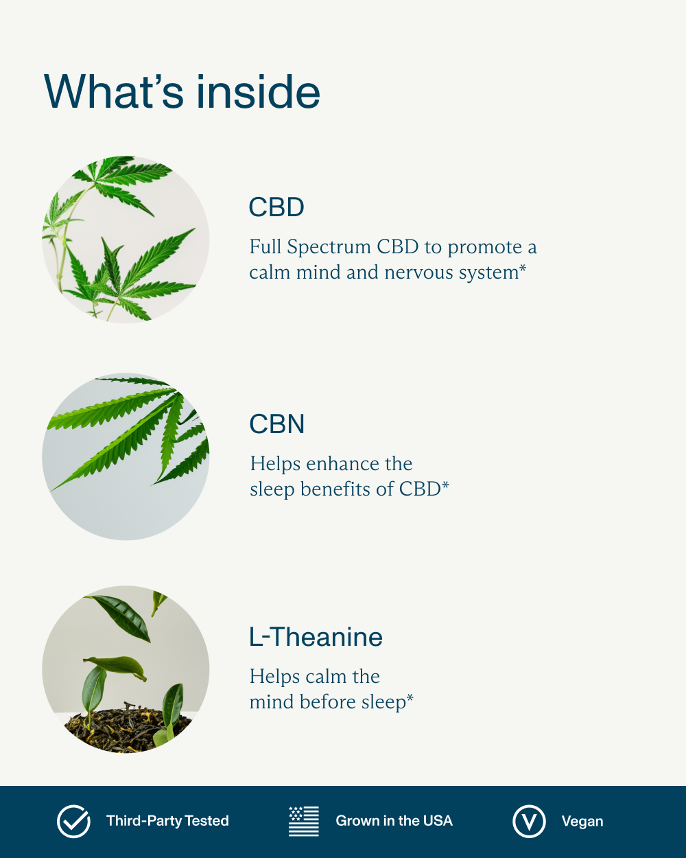 FOCL Good Night Full Spectrum Sleep Gummies 3-Pack