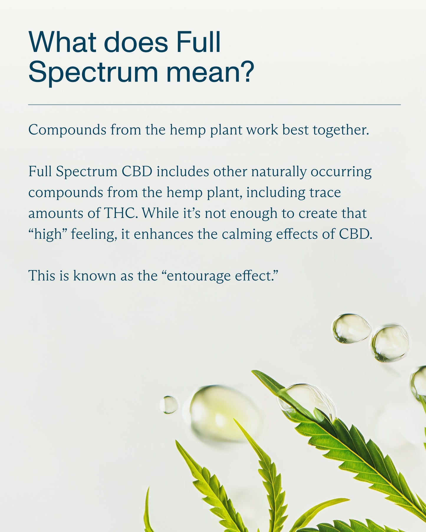 FOCL Good Night Full Spectrum Sleep Gummies 3-Pack