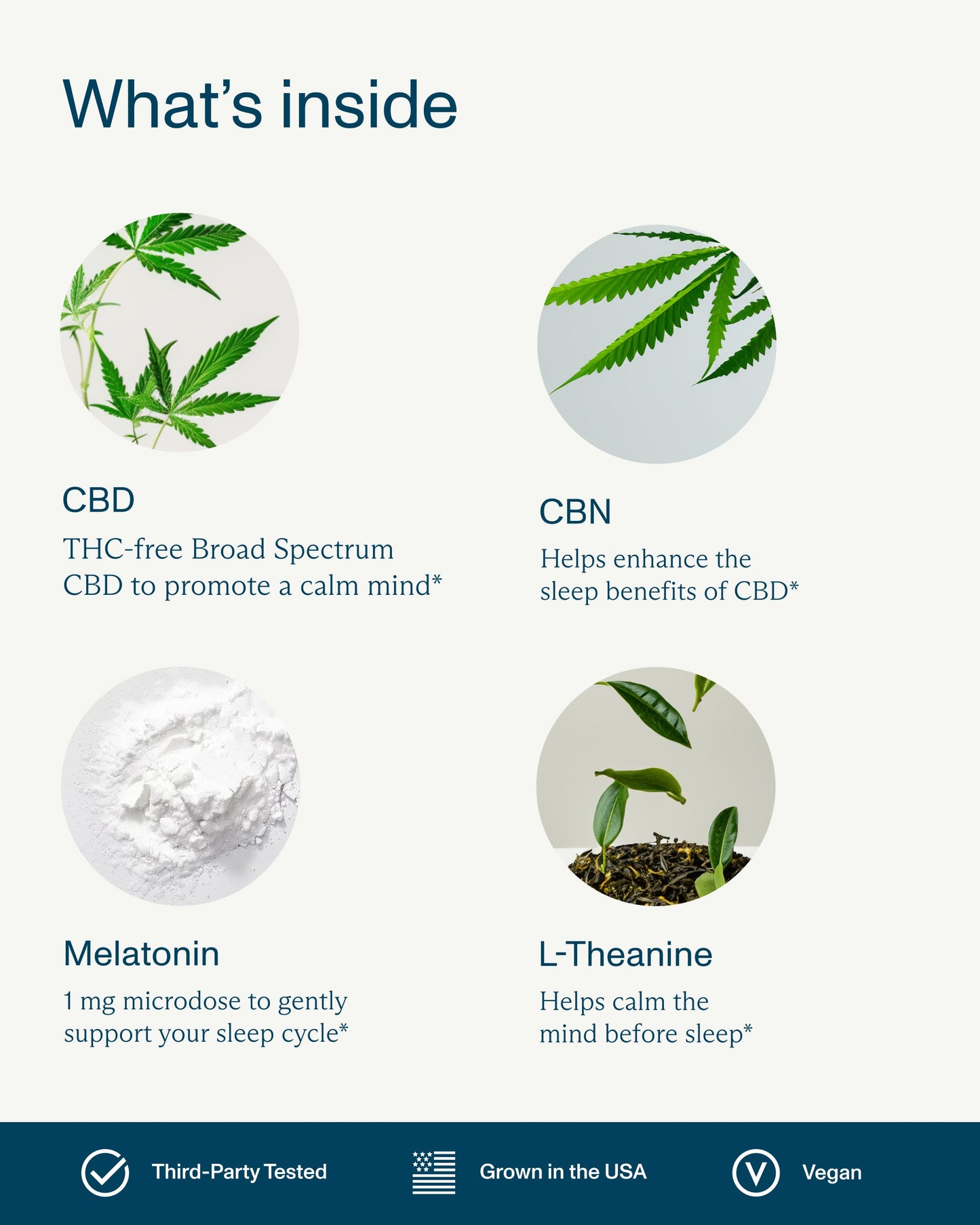 FOCL Sleep Gummies THC-Free