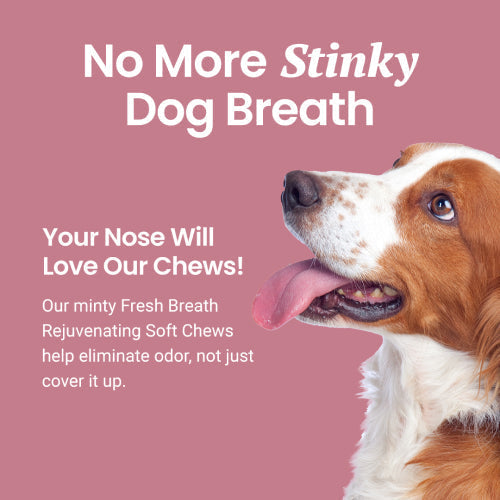 Holistapet Fresh Breath Soft Chews for Dogs