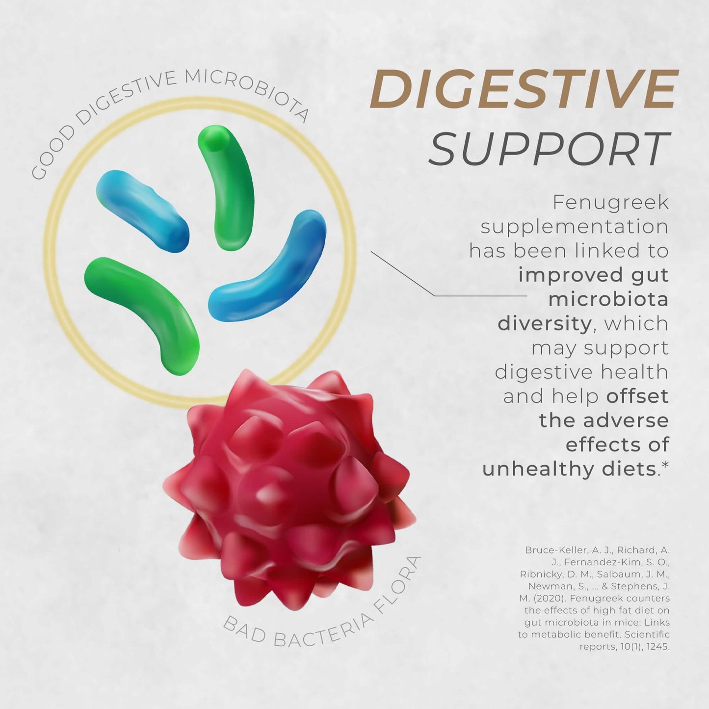 Neurogan Health Fenugreek Seed Capsules