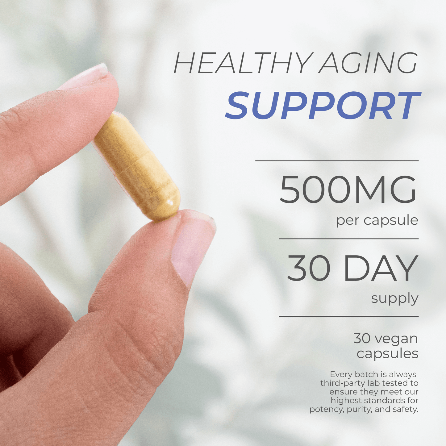 Neurogan Health Fisetin Capsules