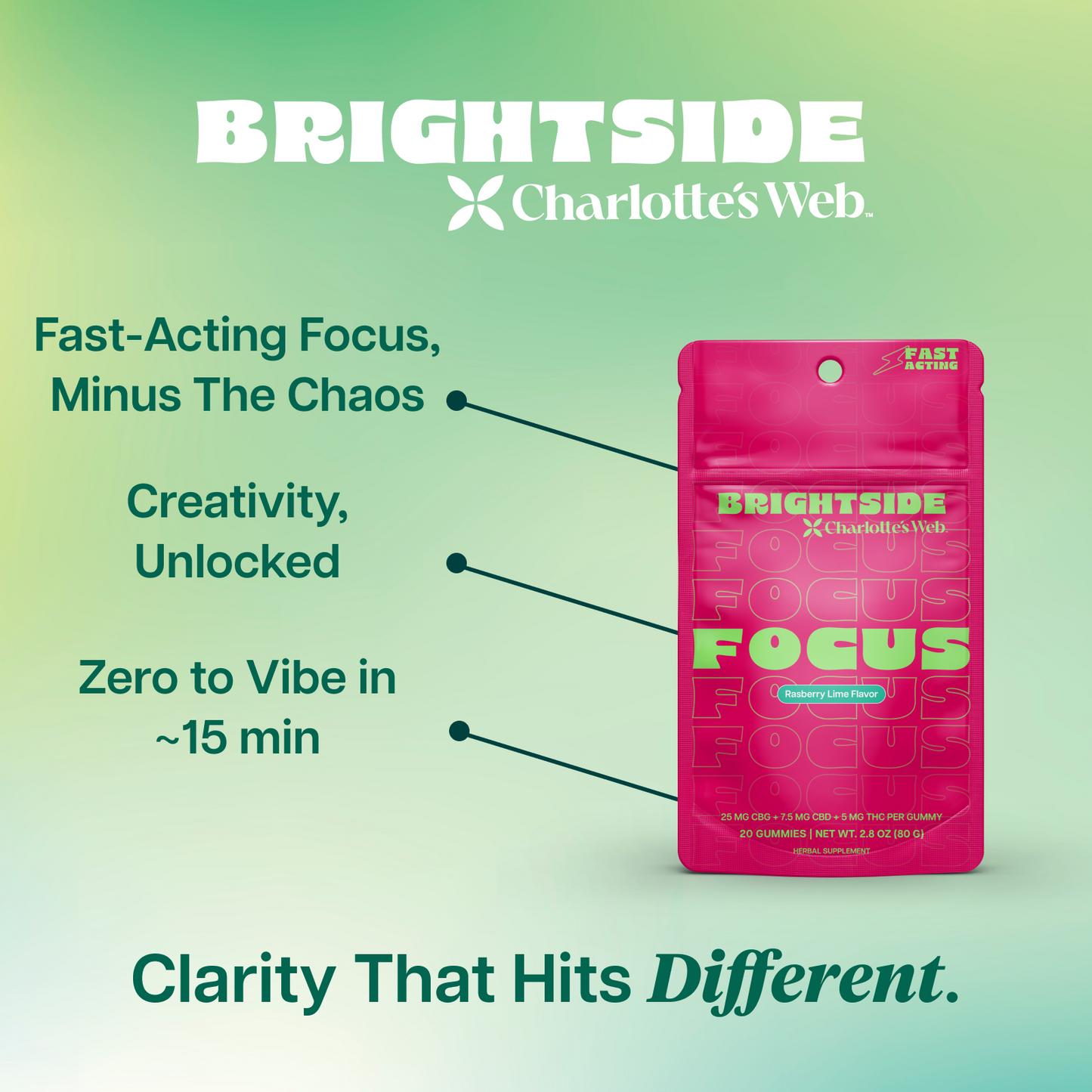 Charlotte's Web Focus THC Gummies