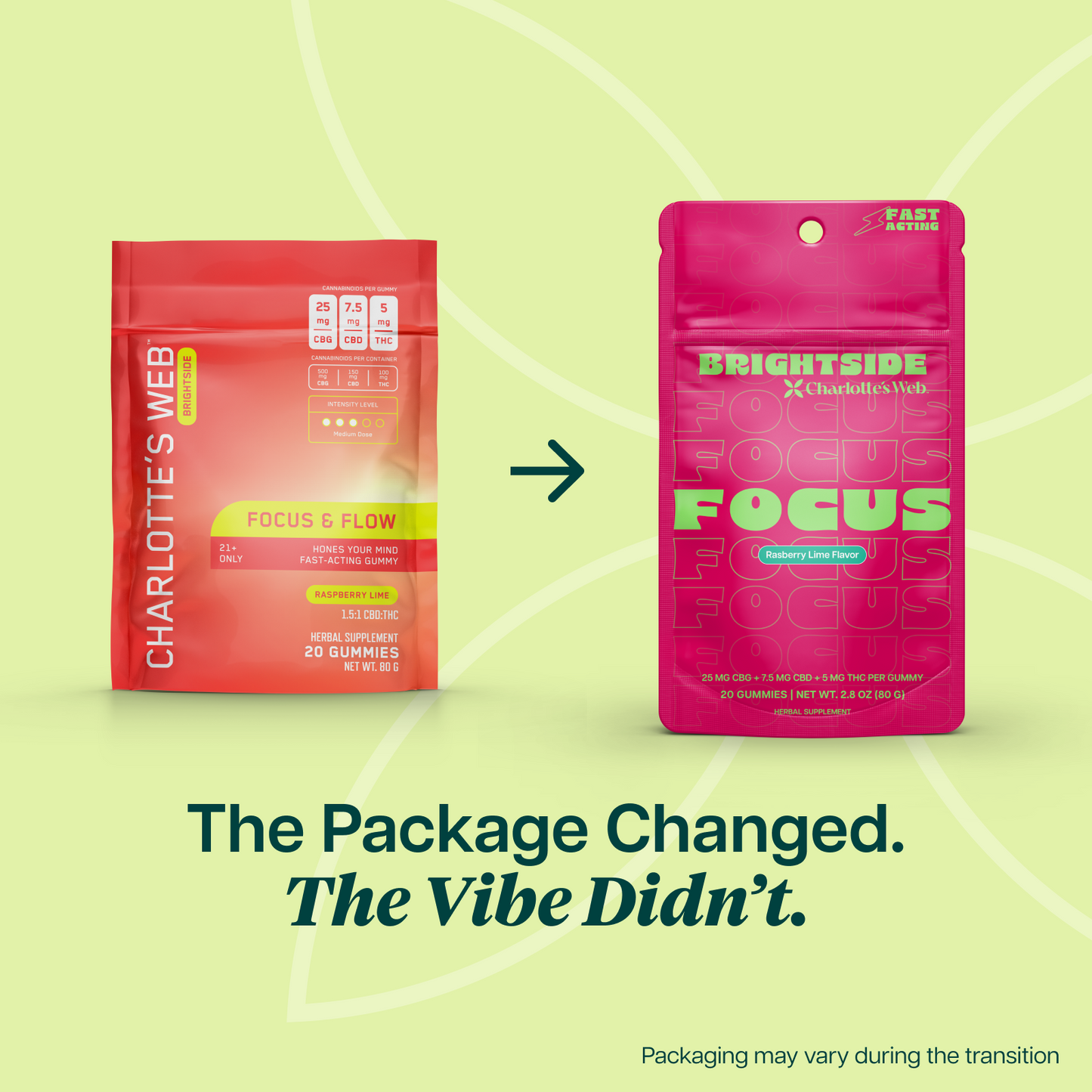 Charlotte's Web Focus THC Gummies Bundle