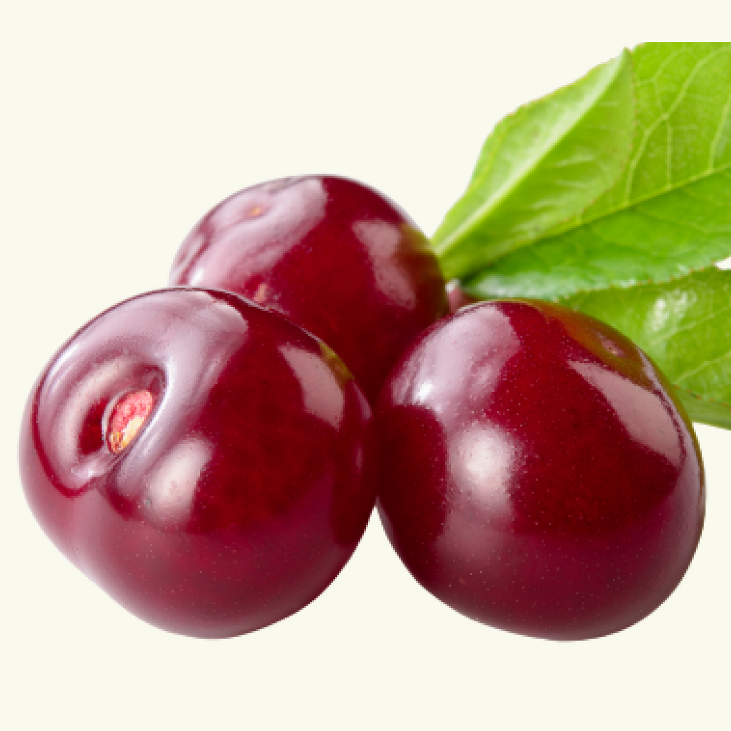 Muscle Restore Mushroom Gummy