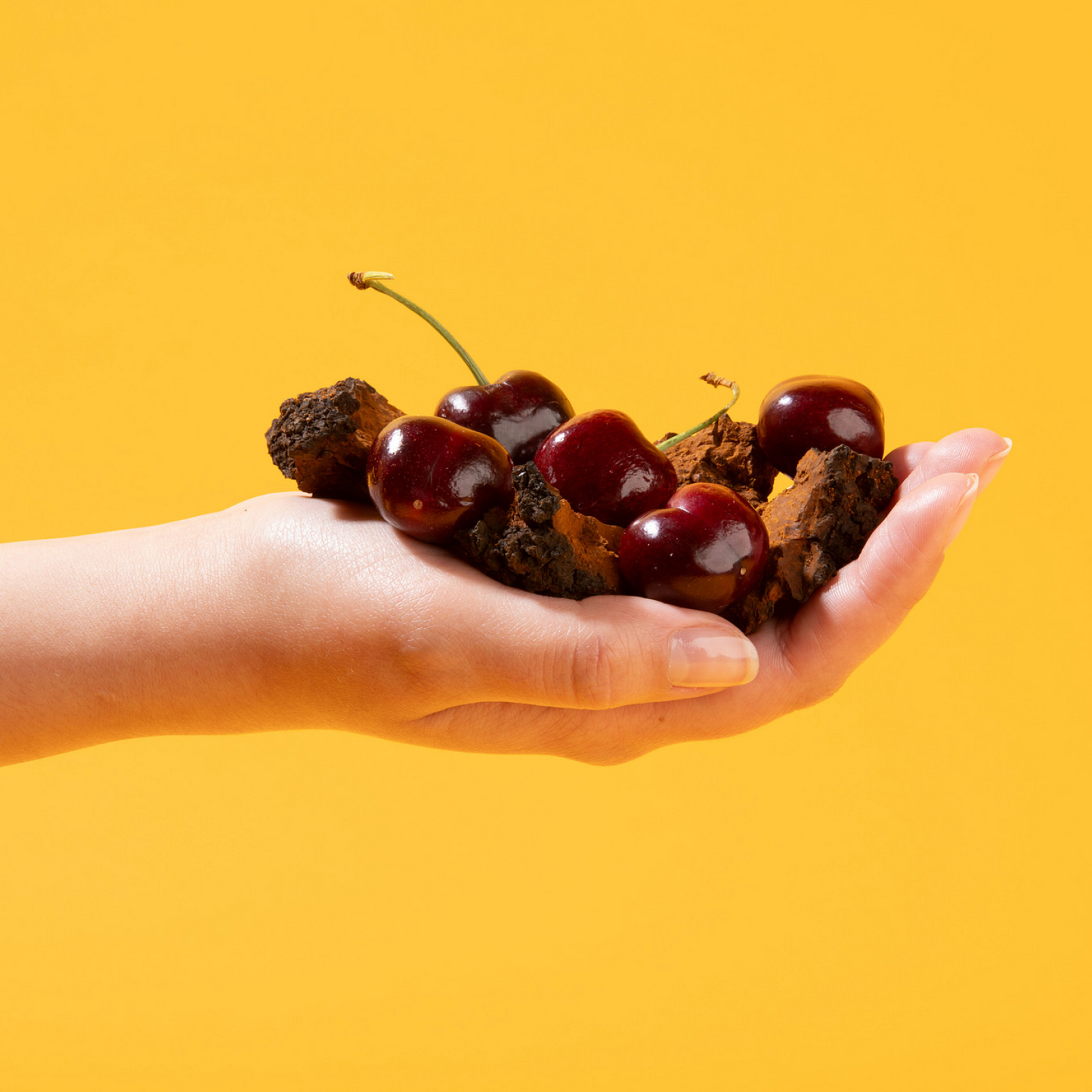 Muscle Restore Mushroom Gummy