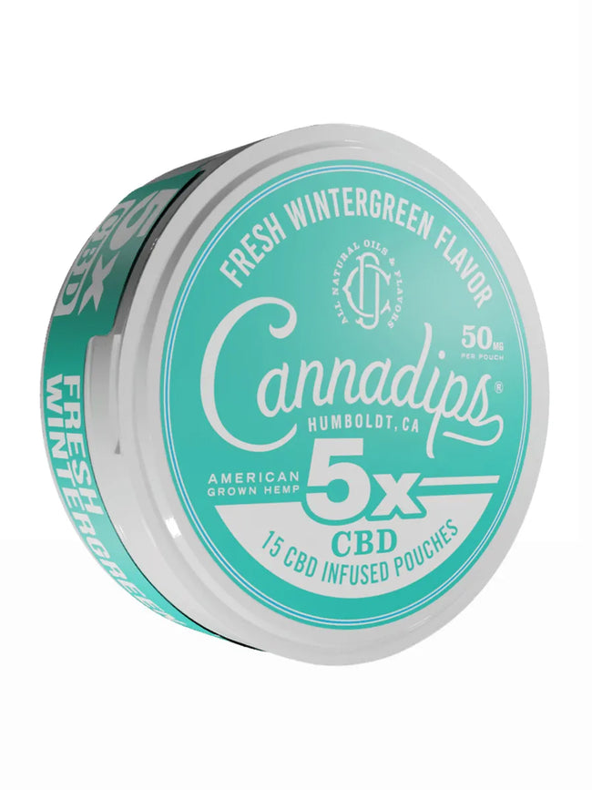 Fresh Wintergreen Cannadips 5X CBD Infused Pouches 15ct 750MG