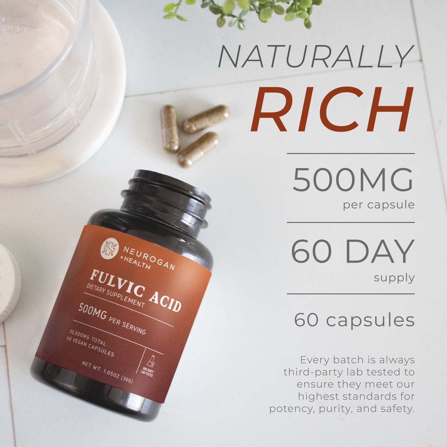 Neurogan Health Fulvic Acid Capsules