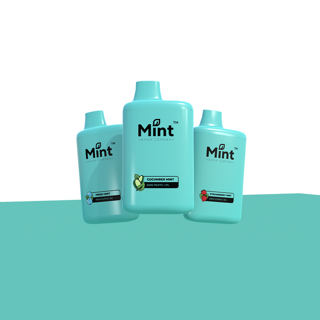 Mint Series Disposable 6500 Puffs 16mL 50mg Best Sales Price - Disposables