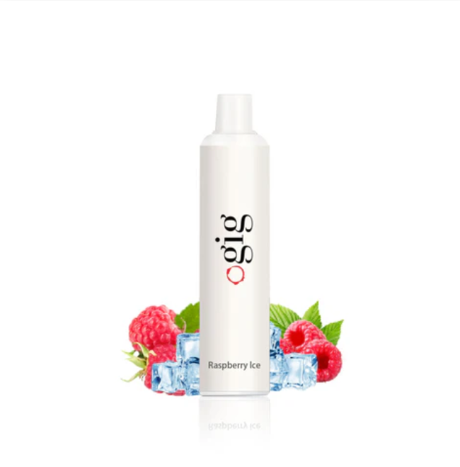 Gig 1300 Disposable 1300 Puffs - Raspberry Ice