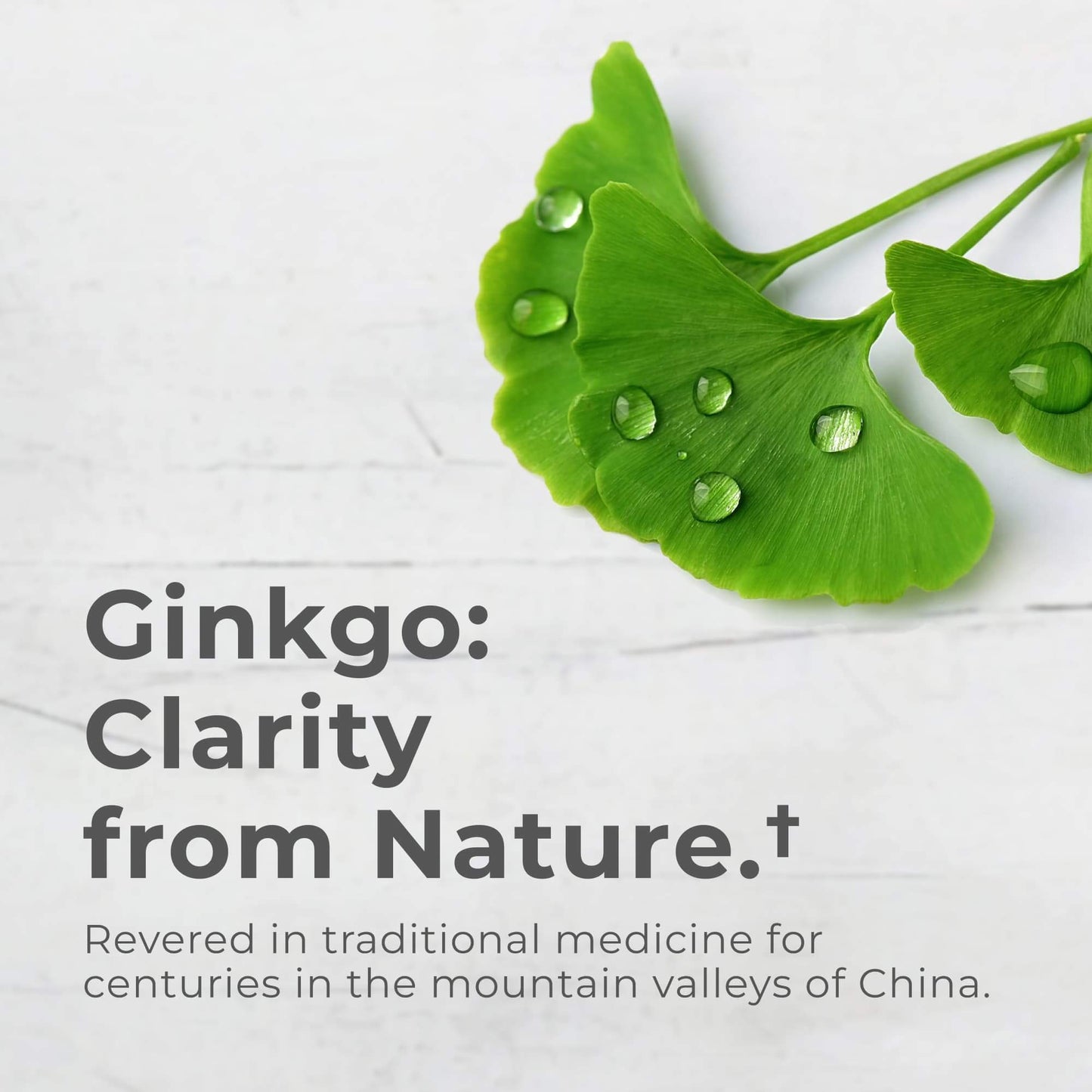 Neurogan Health Ginkgo Biloba Capsules