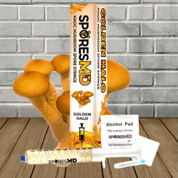 SporesMD Golden Halo Mushroom Spore 10ml Best Sales Price - CBD