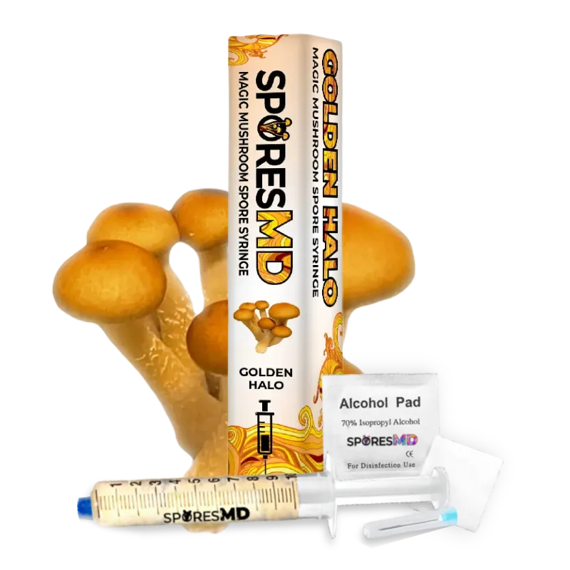 SporesMD Mushroom Spore Syringe - 10mL