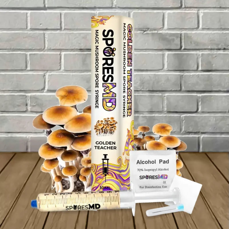 Golden Teacher SporesMD Mushroom Spore