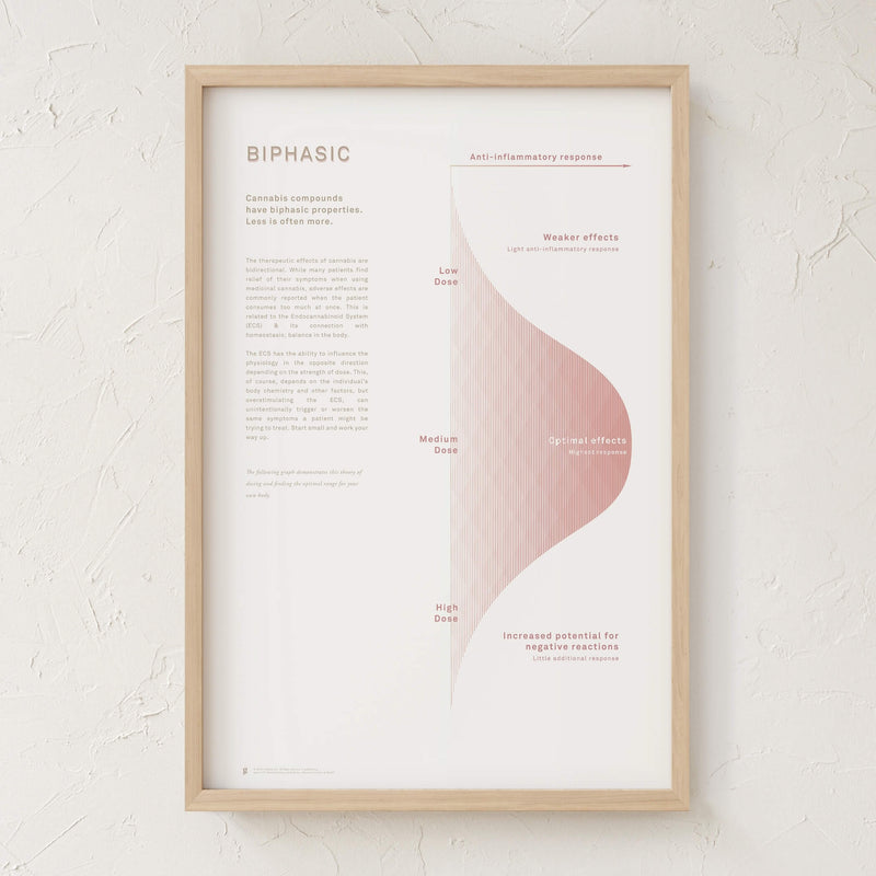 GoldLeaf Biphasic Dosing Infographic Print Best Sales Price - Art Prints