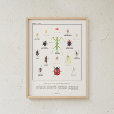 GoldLeaf Beneficial Insects Print Best Sales Price - Art Prints
