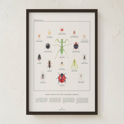 GoldLeaf Beneficial Insects Print Best Sales Price - Art Prints