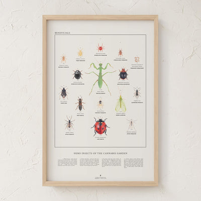 GoldLeaf Beneficial Insects Print Best Sales Price - Art Prints
