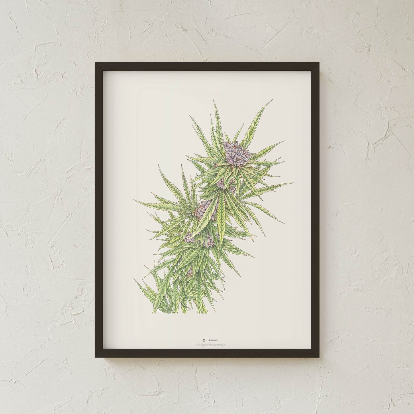 GoldLeaf Blue Dream Botanical Illustration Print Best Sales Price - Art Prints