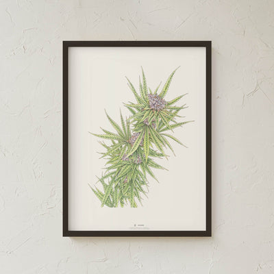 GoldLeaf Blue Dream Botanical Illustration Print Best Sales Price - Art Prints