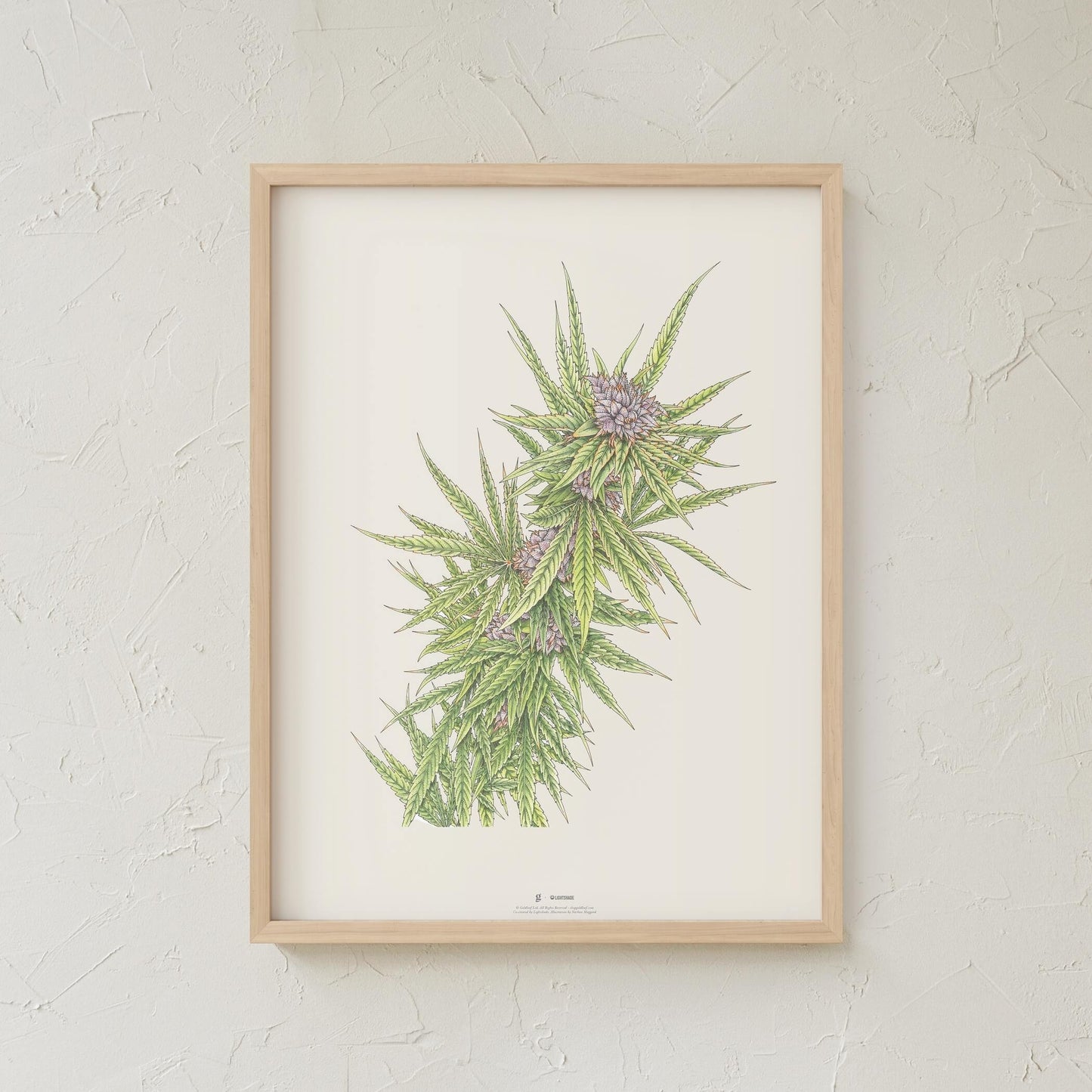 GoldLeaf Blue Dream Botanical Illustration Print Best Sales Price - Art Prints