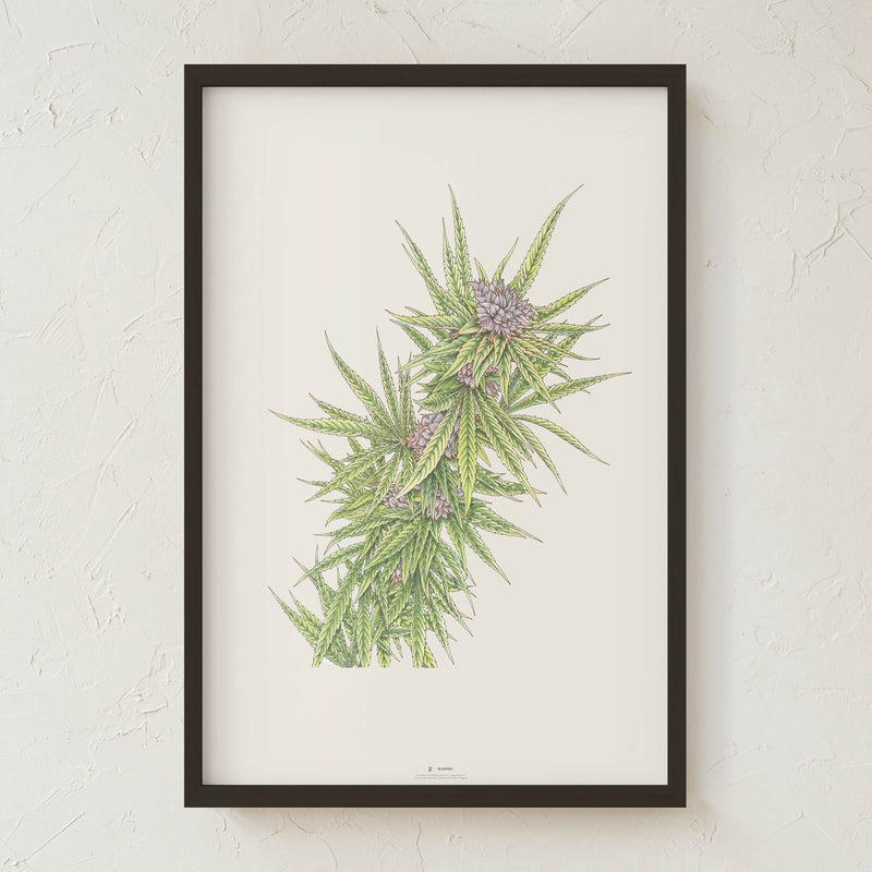GoldLeaf Blue Dream Botanical Illustration Print Best Sales Price - Art Prints