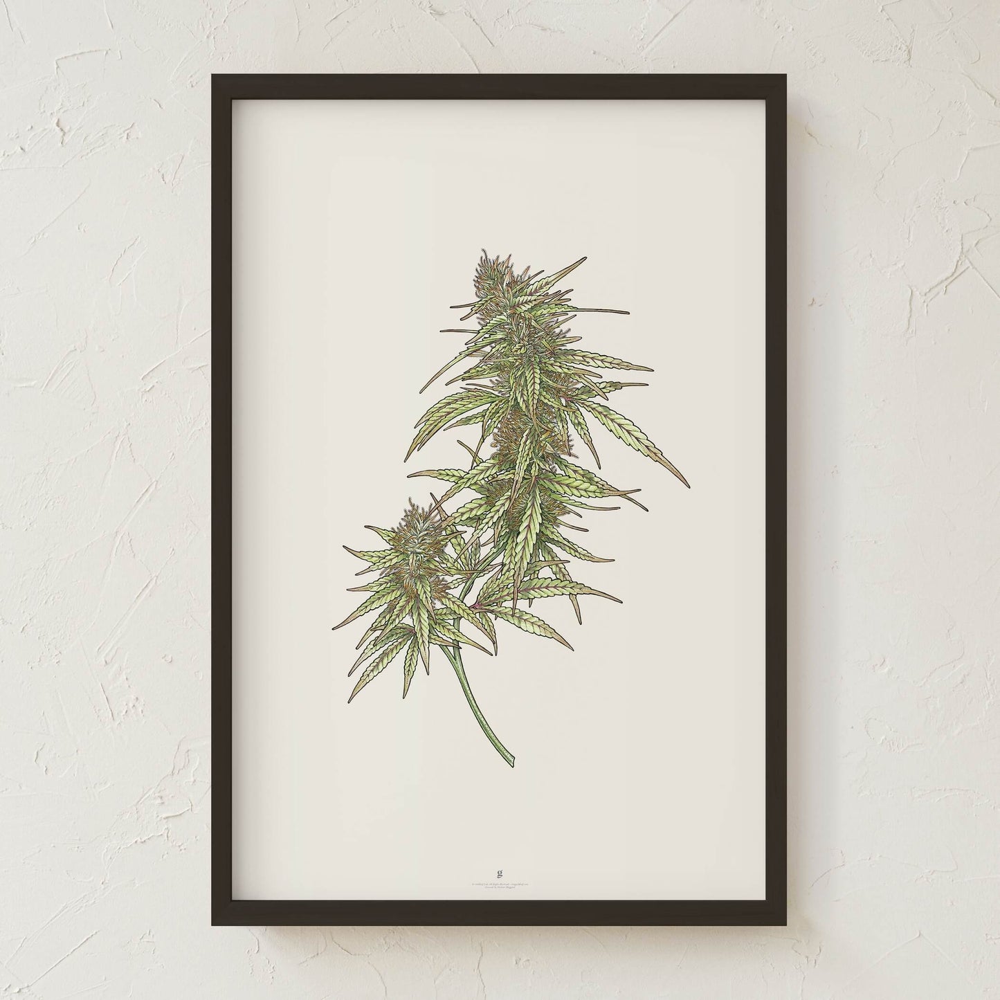 GoldLeaf Cannabis Botanical Illustration Art Print Best Sales Price - Art Prints