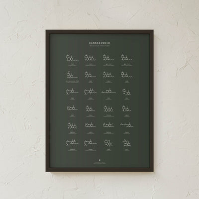 GoldLeaf Gráfico de Estructuras Moleculares de Cannabinoides Best Sales Price - Art Prints