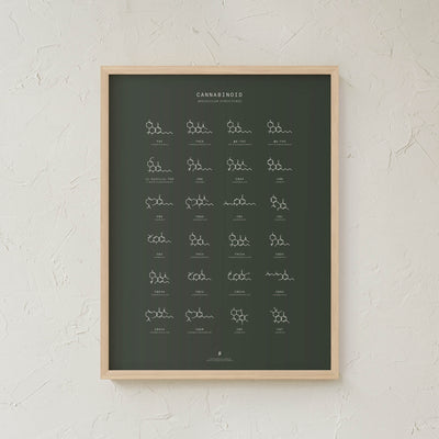 GoldLeaf Gráfico de Estructuras Moleculares de Cannabinoides Best Sales Price - Art Prints