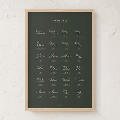 GoldLeaf Cannabinoid Molecular Structures Chart Print Best Sales Price - Art Prints