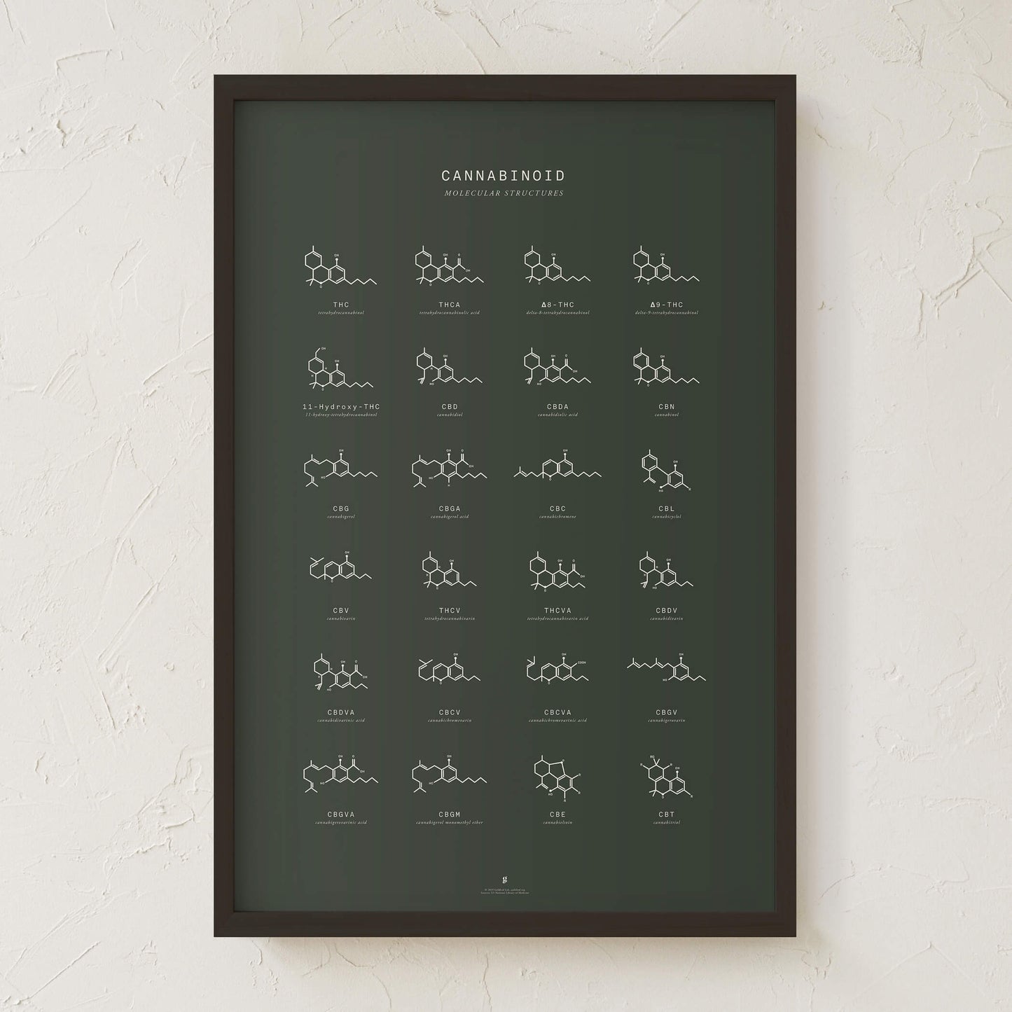 GoldLeaf Cannabinoid Molecular Structures Chart Print Best Sales Price - Art Prints