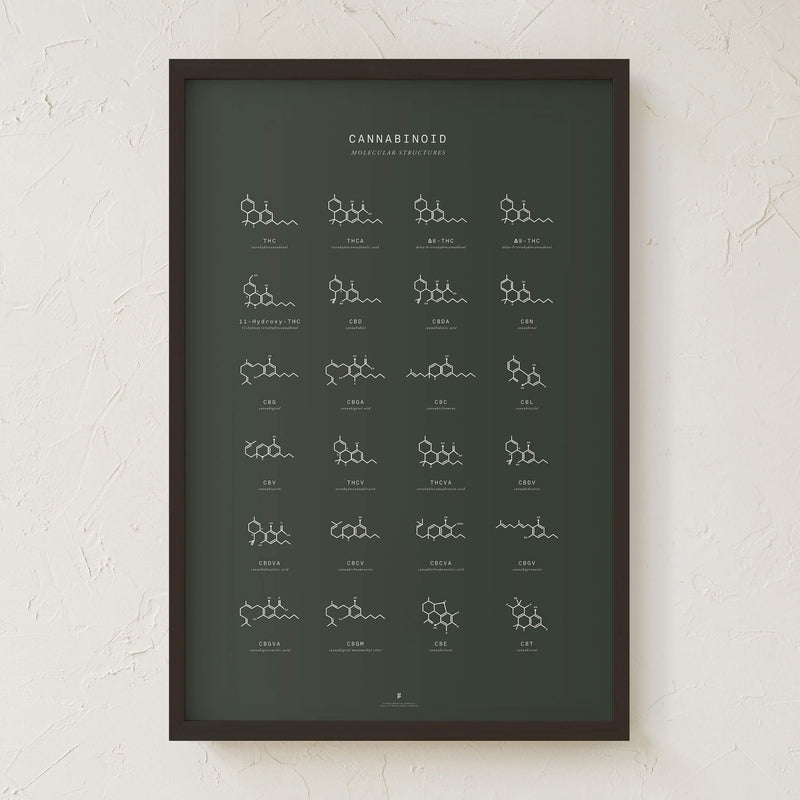 GoldLeaf Cannabinoid Molecular Structures Chart Print Best Sales Price - Art Prints