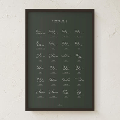 GoldLeaf Gráfico de Estructuras Moleculares de Cannabinoides Best Sales Price - Art Prints
