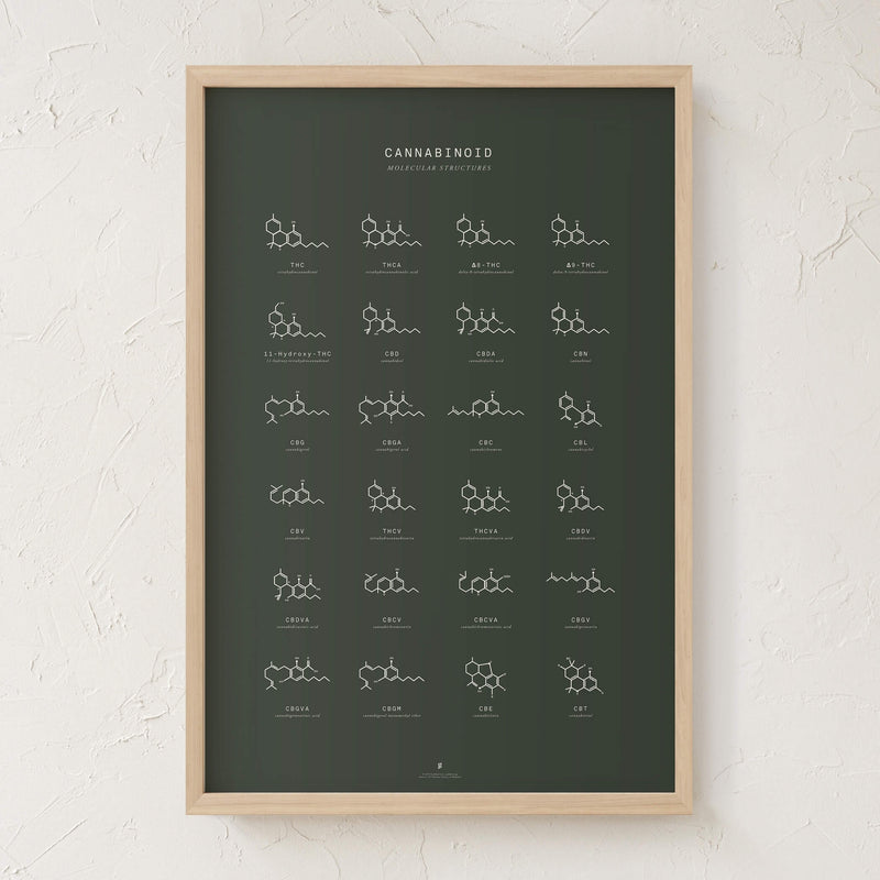 GoldLeaf Gráfico de Estructuras Moleculares de Cannabinoides Best Sales Price - Art Prints