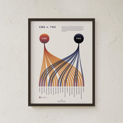 GoldLeaf CBD v. THC Comparison Chart Print Best Sales Price - Art Prints