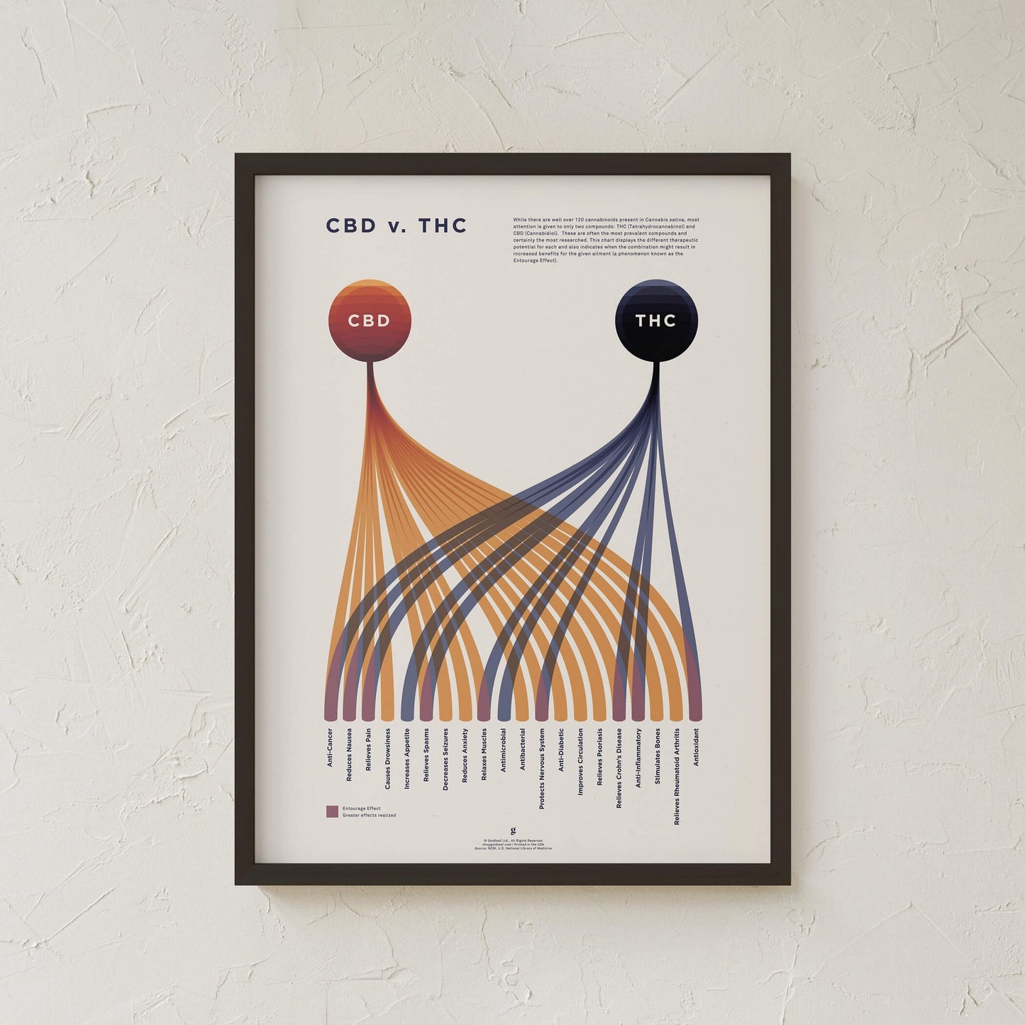 GoldLeaf Cuadro Comparativo de CBD vs. THC Best Sales Price - Art Prints