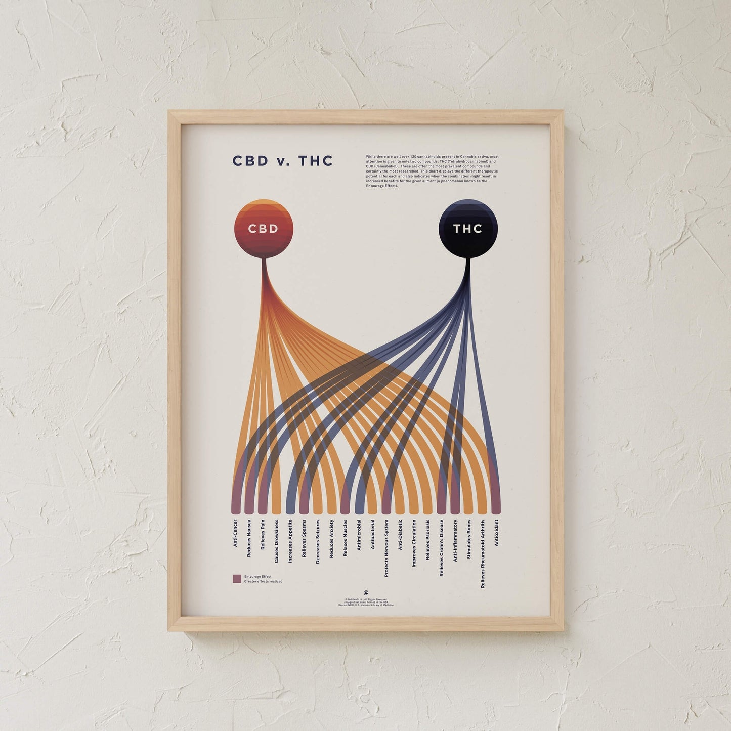 GoldLeaf Cuadro Comparativo de CBD vs. THC Best Sales Price - Art Prints