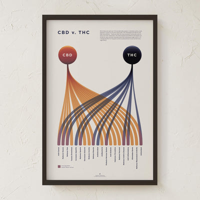 GoldLeaf CBD v. THC Comparison Chart Print Best Sales Price - Art Prints