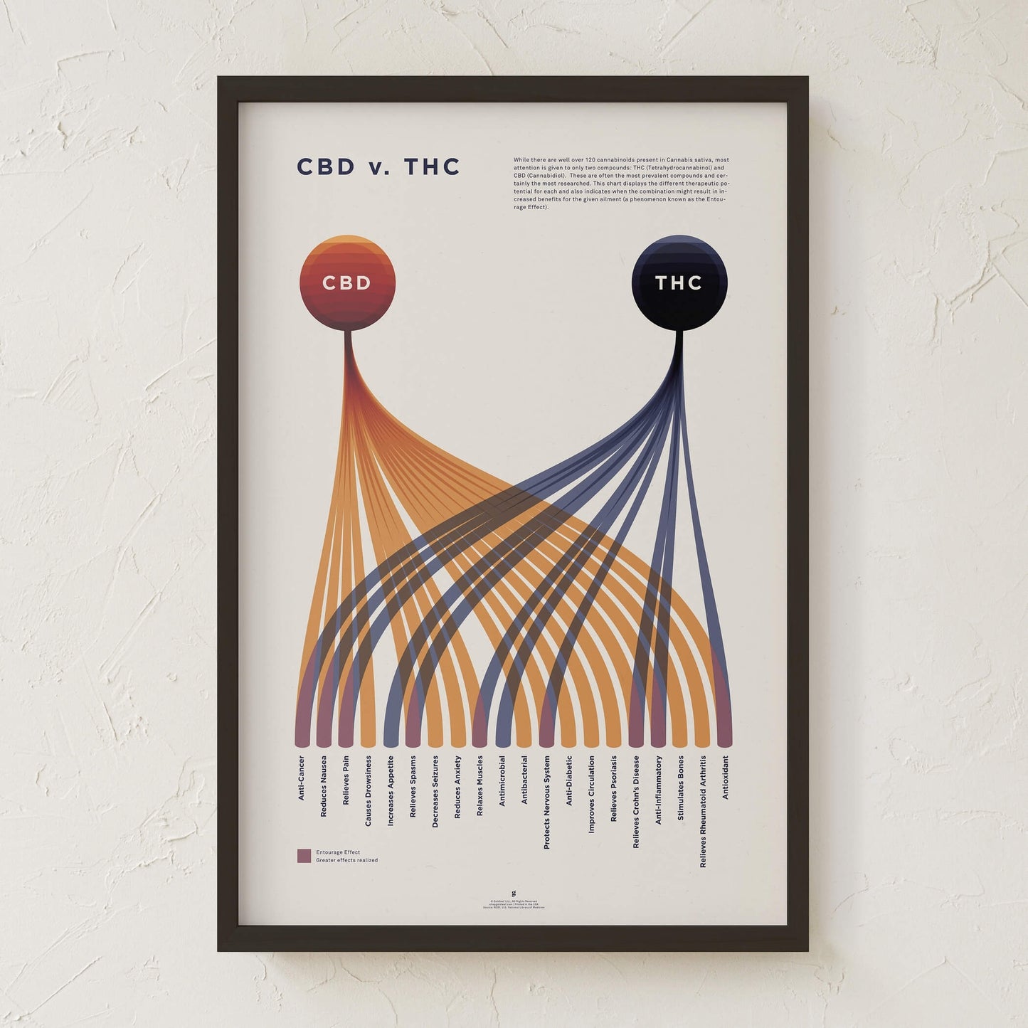 GoldLeaf Cuadro Comparativo de CBD vs. THC Best Sales Price - Art Prints